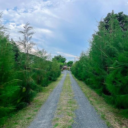 North Pine Forest Homestay บ้านไม้สนโฮมสเตย์ Ban Mae Pong Kültér fotó
