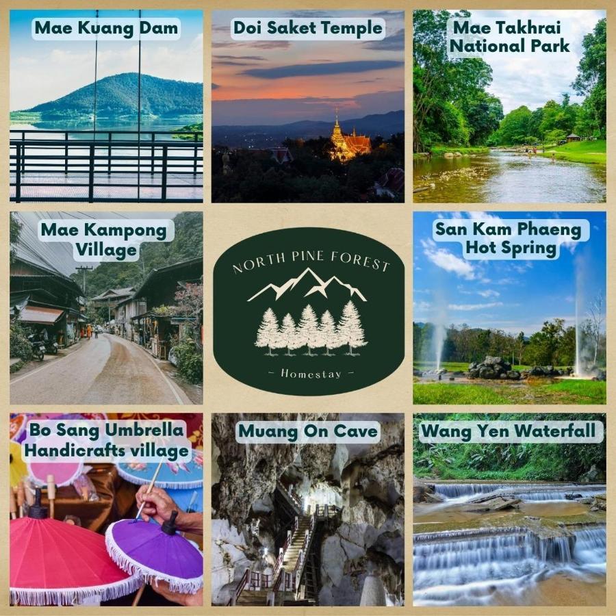 North Pine Forest Homestay บ้านไม้สนโฮมสเตย์ Ban Mae Pong Kültér fotó