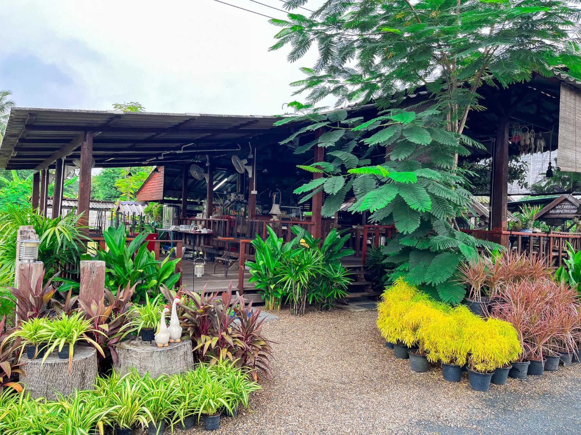 North Pine Forest Homestay บ้านไม้สนโฮมสเตย์ Ban Mae Pong Kültér fotó