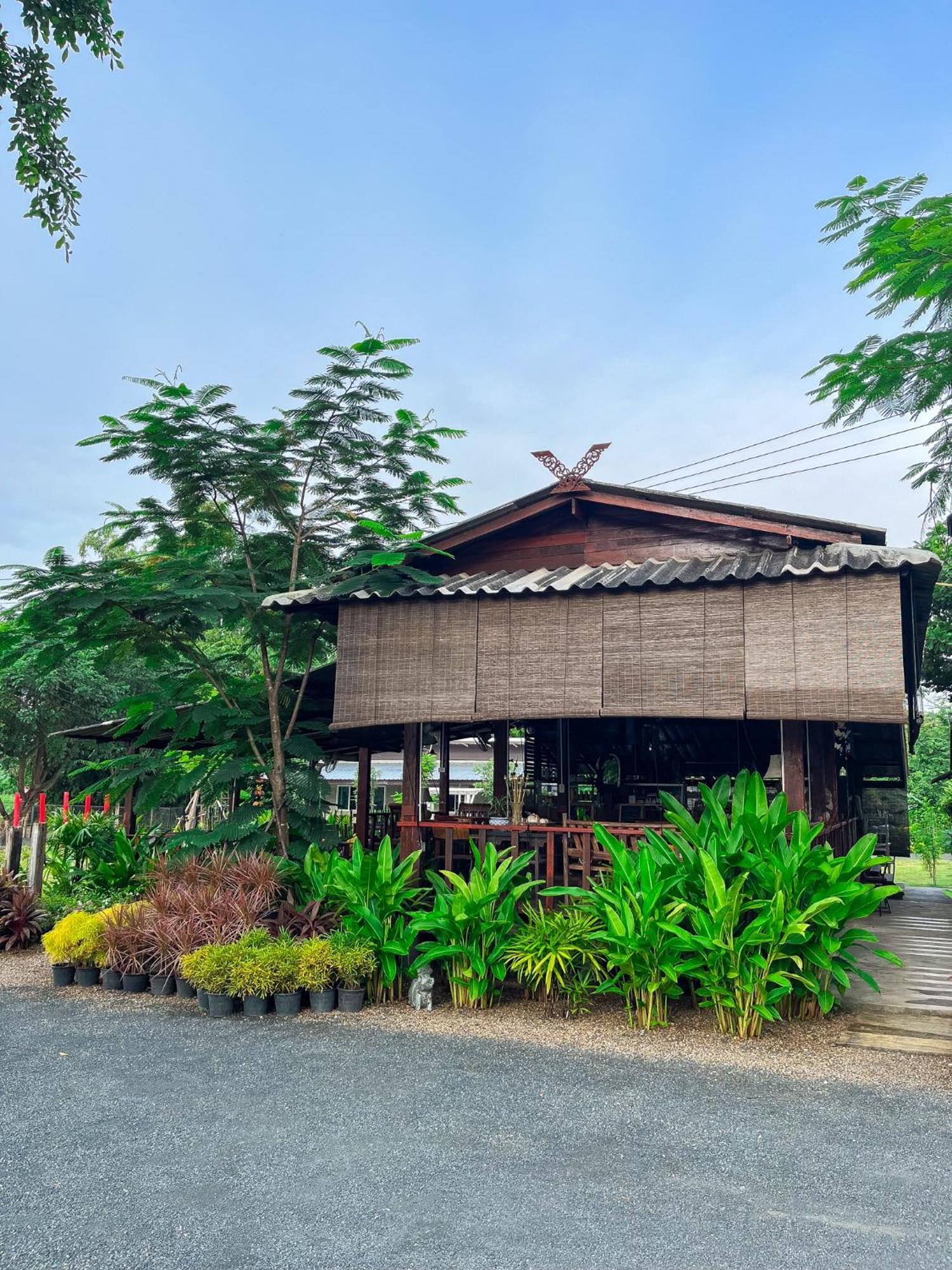 North Pine Forest Homestay บ้านไม้สนโฮมสเตย์ Ban Mae Pong Kültér fotó