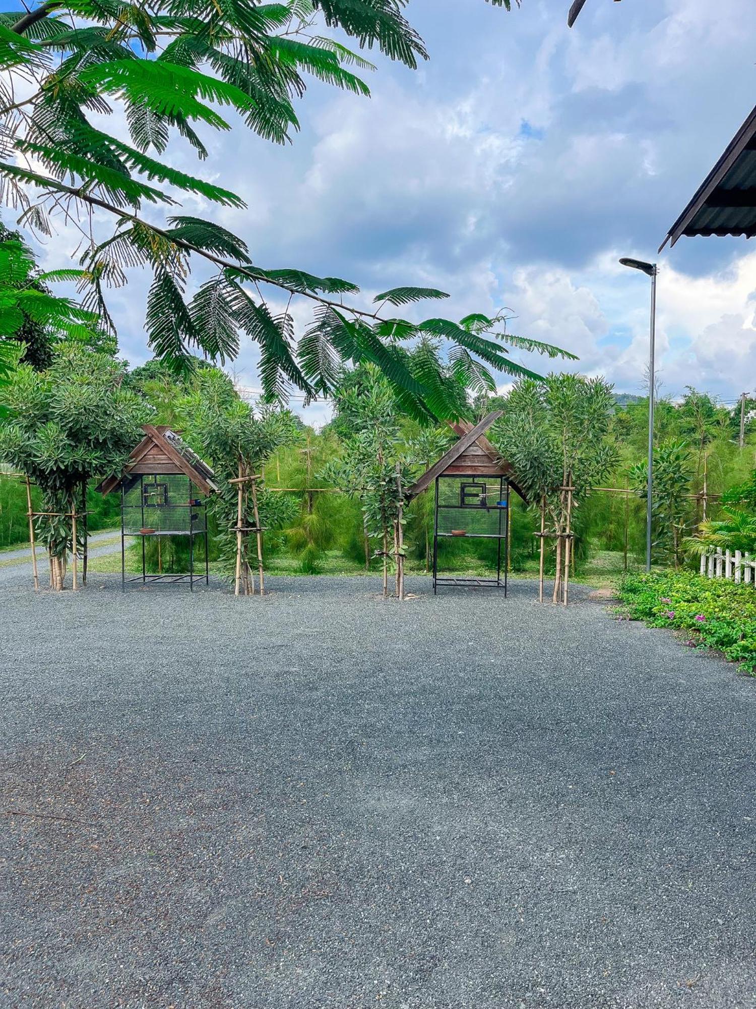 North Pine Forest Homestay บ้านไม้สนโฮมสเตย์ Ban Mae Pong Kültér fotó