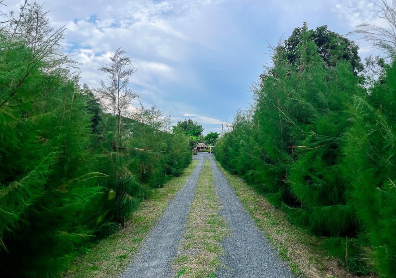 North Pine Forest Homestay บ้านไม้สนโฮมสเตย์ Ban Mae Pong Kültér fotó