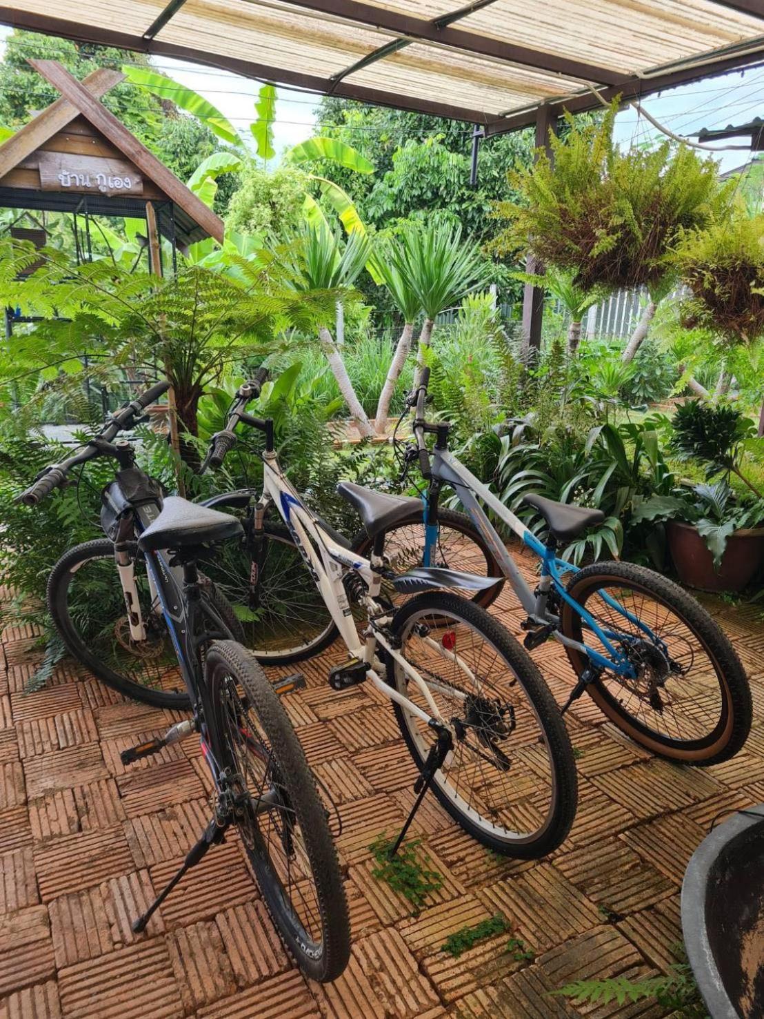 North Pine Forest Homestay บ้านไม้สนโฮมสเตย์ Ban Mae Pong Kültér fotó